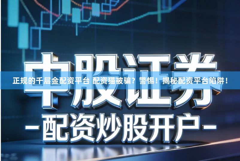 正规的千层金配资平台 配资猫被骗？警惕！揭秘配资平台陷阱！