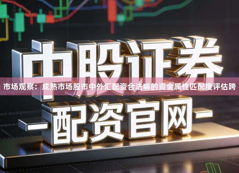 市场观察：成熟市场股市中外汇配资合法嘛的资金属性匹配度评估跨