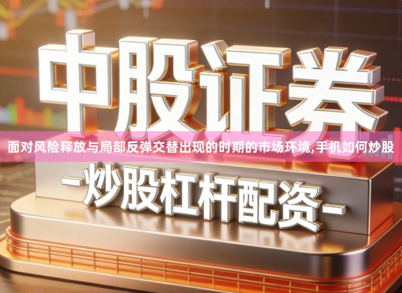 面对风险释放与局部反弹交替出现的时期的市场环境,手机如何炒股