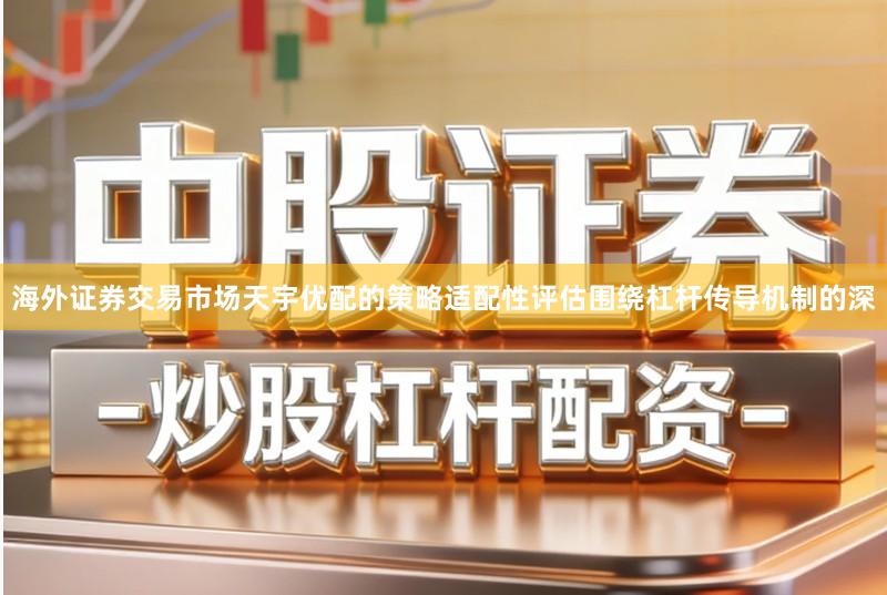 海外证券交易市场天宇优配的策略适配性评估围绕杠杆传导机制的深