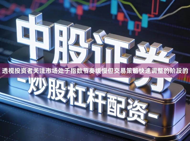 透视投资者关注市场处于指数节奏缓慢但交易策略快速调整的阶段的