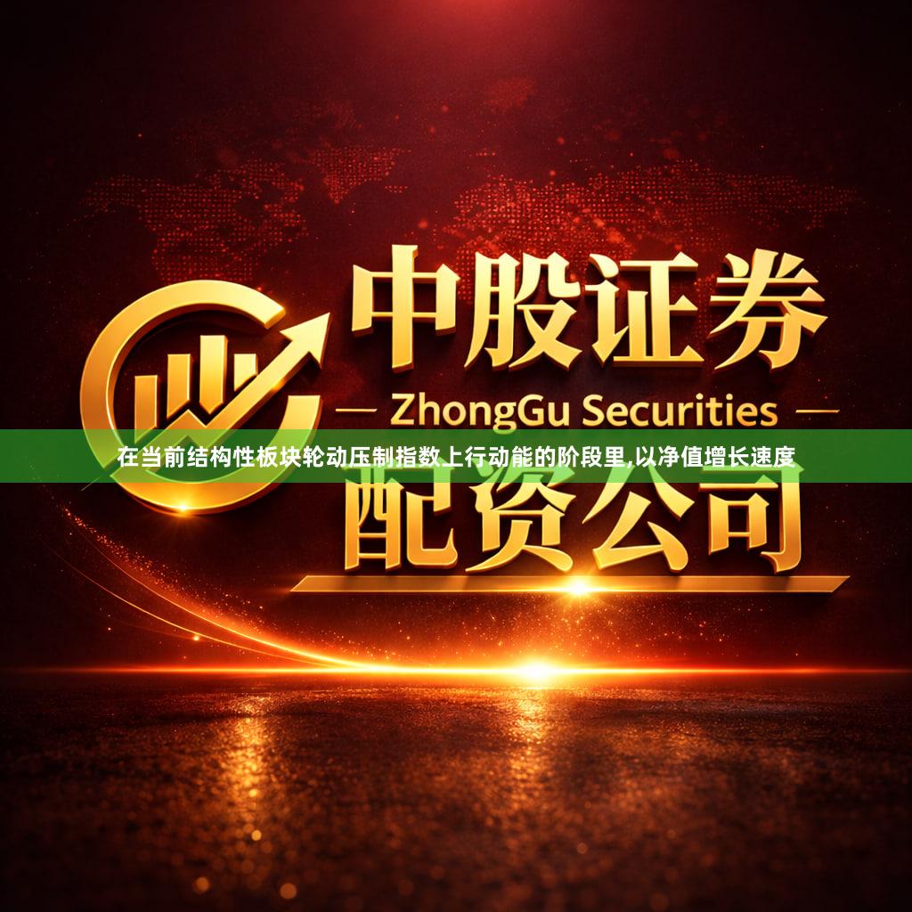 在当前结构性板块轮动压制指数上行动能的阶段里,以净值增长速度